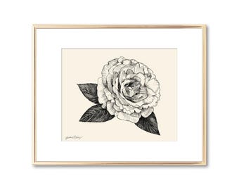 Rose Blossom Botanical Print - Line Drawing Floral Wall Art (5x7 8x10 11x14)