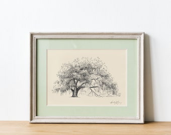 Ophelia Oak Tree - Live Oak Drawing - Fine Art - Signed Tree Print - Line Drawing - Paper Anniversary - Rustic Georgia Nature Lover Gift