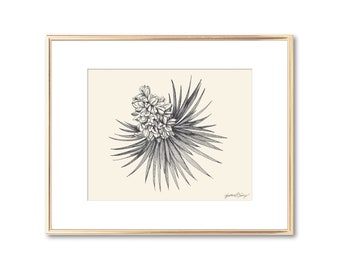 Joshua Tree Flower Blossom Botanical Print - Floral Wall Art Southern Decor Lowcountry Art Giclee Print - Nature Lover Gift - 5x7 8x10 11x14