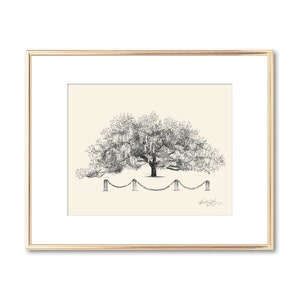 Old Oak Tree Print Technical Line Drawing Nature Lover Gift Line Art Rustic Art Botanical Illustration Southern Decor Wall Art image 1