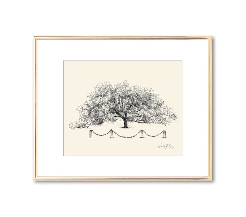 Old Oak Tree Print Technical Line Drawing Nature Lover Gift Line Art Rustic Art Botanical Illustration Southern Decor Wall Art image 1