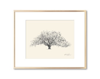 Old Oak Tree Print - Nature Art - Southern Farmhouse Decor - Live Oak Tree Drawing with Spanish Moss - Line Art - Tree Wall Art - Savannah