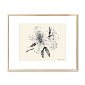 Impression botanique de fleur d'azalée art mural floral décoration du sud impression giclée d'art du Lowcountry cadeau pour les amoureux de la nature 5 x 7 8 x 10 11 x 14 image 1