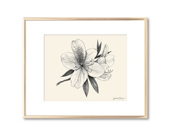 Azalea Flower Blossom Botanical Print - Floral Wall Art - Southern Decor - Lowcountry Art Giclee Print - Nature Lover Gift - 5x7 8x10 11x14