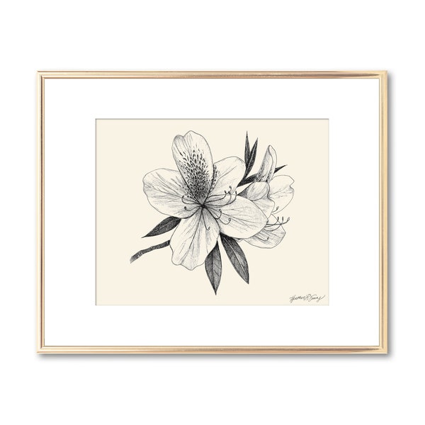 Azalea Flower Blossom Botanical Print - Arte floral de la pared - Decoración del sur - Lowcountry Art Giclee Print - Regalo amante de la naturaleza - 5x7 8x10 11x14