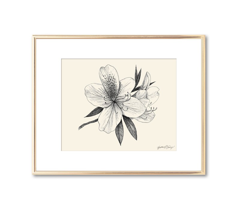 Impression botanique de fleur d'azalée art mural floral décoration du sud impression giclée d'art du Lowcountry cadeau pour les amoureux de la nature 5 x 7 8 x 10 11 x 14 image 1