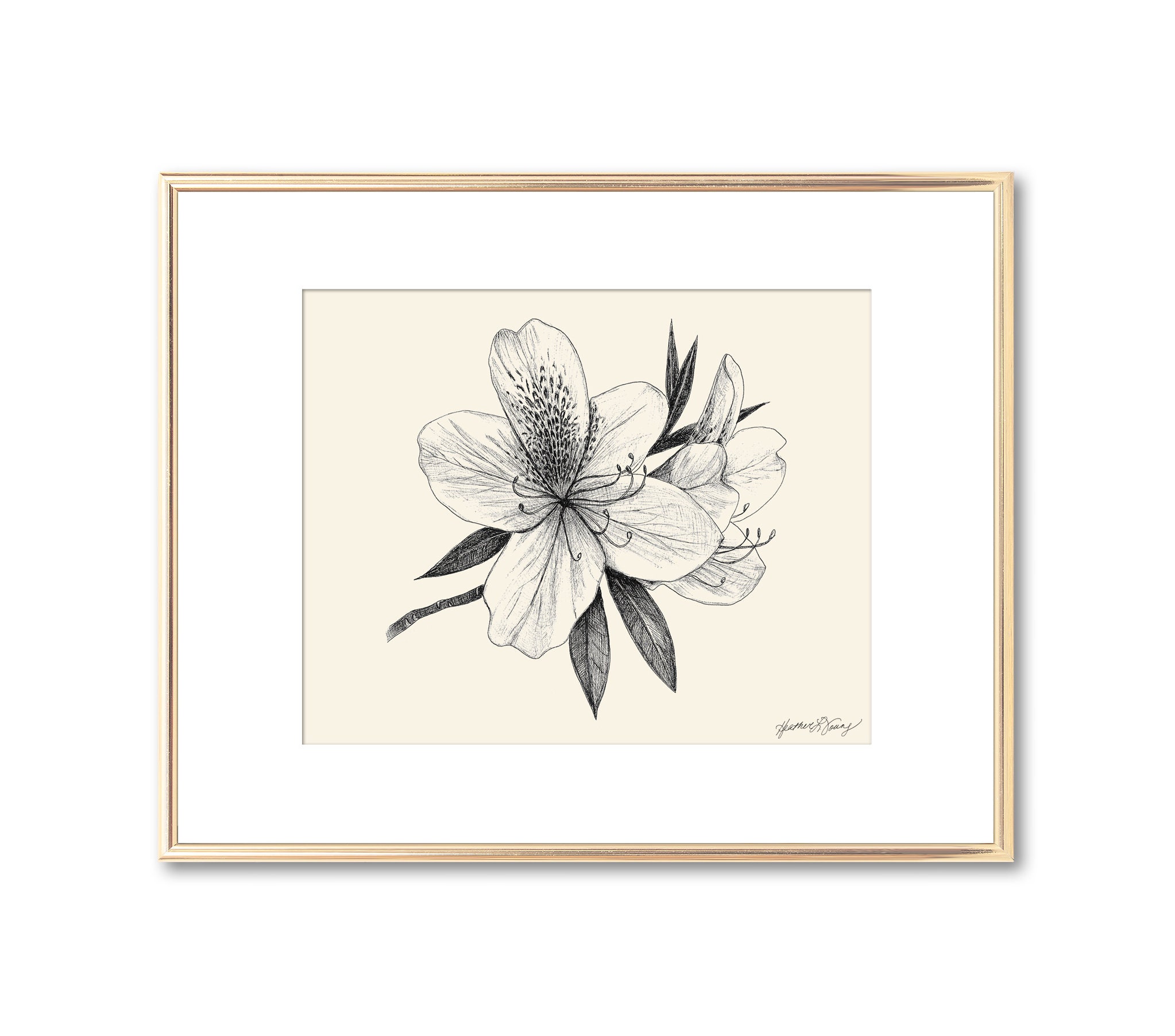 Azalea Flower Blossom Botanical Print - Floral Wall Art - Southern ...