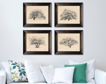 Wood Wall Decor - Collection of 4 Oak Tree Prints - Unique 5th Anniversary Gift - Nature Lover Gift - Technical Drawing - Southern Decor Art