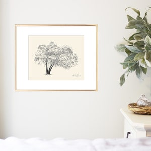 May include: A black and white line drawing of a tree with a thick trunk and many branches. The drawing is framed in a gold frame and hung on a white wall.