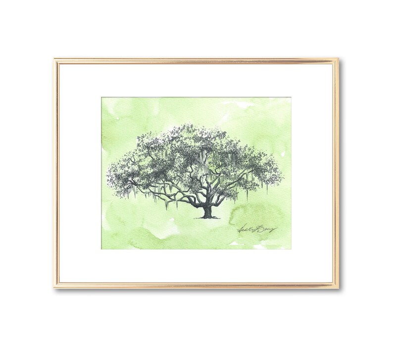 Ribault Club Oak Tree Pen and Ink Drawing Fine Art Print Watercolor Painting Small Art Unique Couple Wedding Gift Florida Decor image 1