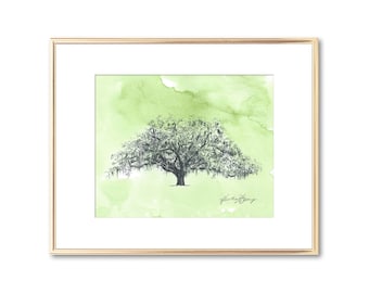 Watercolor Painting - Candler Oak Tree Print - Savannah Georgia Line Art Drawing - Botanical Wall Art - Nature Lover Gift 5x7 8x10 11x14