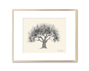 Olive Tree Art - Technical Drawing - Giclee Fine Art Print - Nature Lover Gift - Classical Art - Wall Decor - Symbol of Peace - Line Art