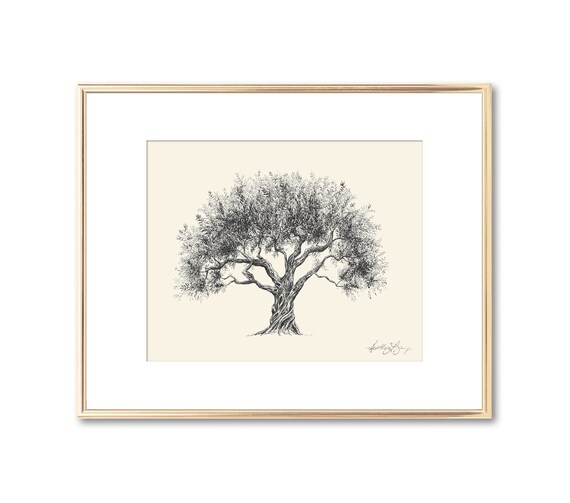 Olivenbaum - Technische Zeichnung - Giclee Fine Art Print - Geschenk fr  Naturliebhaber - Klassische Kunst - Wanddekoration - Symbol des Friedens -  Etsy sterreich