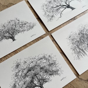 Oak Notes Boxed Stationery Set Savannah and Low Country Live Oak Tree Cards image 9