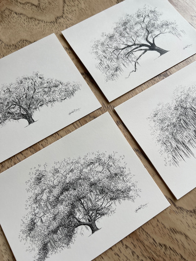 Oak Notes Boxed Stationery Set Savannah and Low Country Live Oak Tree Cards image 9