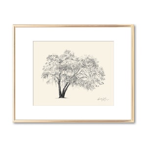 May include: A black and white line drawing of a large tree with hanging branches, framed in a gold frame.