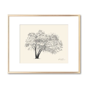 Savannah Georgia Old Oak Tree Print Line Art Nature Inspired Gift for Her Fine Art Giclee Print Southern Decor Botanical Art image 1