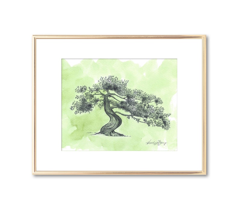 Green Wall Decor Housewarming Gift Juniper Tree Hand Painted Watercolor Fine Art Print Black Line Drawing Nature Inspired Gift