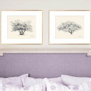 Lovers Oak Tree Print Nature Lover Gift Couple Gift Southern Decor Old Oak Spanish Moss Line Drawing Botanical Wall Art Gift image 6