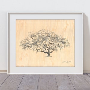 Old Oak Tree Print Wood Wall Decor Fine Art Print on Wood 5th Anniversary Gift Rustic Drawing Nature Inspired Art Southern Art image 3