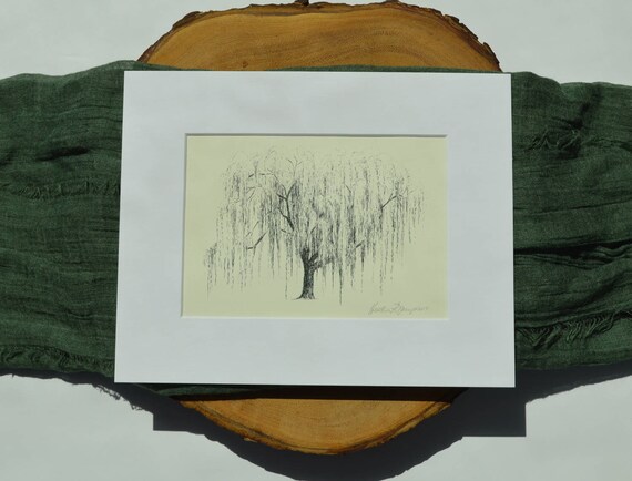 Weeping Willow Tree Fine Art Print Line Art Technical Drawing Botanical Wall Art Neutral Colors Rustic Decor 9th Anniversary Gift