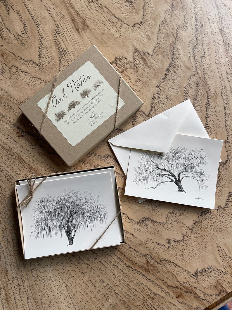 boxed set of stationery featuring live oak tree ink drawings by Heather L. Young