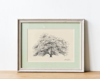 Old Dairy Oak Tree - Live Oak Drawing - Fine Art - Signed Tree Print - Line Drawing - Paper Anniversary - Rustic Georgia Nature Lover Gift