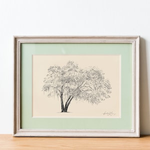 May include: A framed black and white pen and ink drawing of a tree with long branches and hanging vines. The drawing is on a cream background with a light green mat and a white frame.
