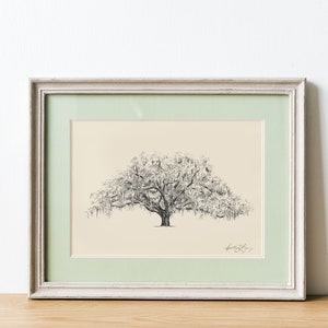 Old Oak Tree Print - Nature Art - Southern Farmhouse Decor - Live Oak Tree Drawing with Spanish Moss - Line Art - Tree Wall Art - Savannah