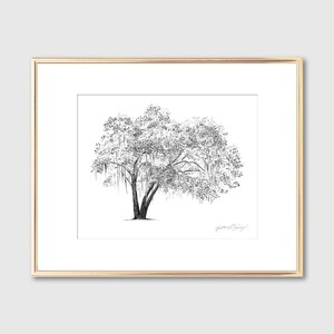May include: A black and white line drawing of a large tree with hanging branches, framed in a gold frame.