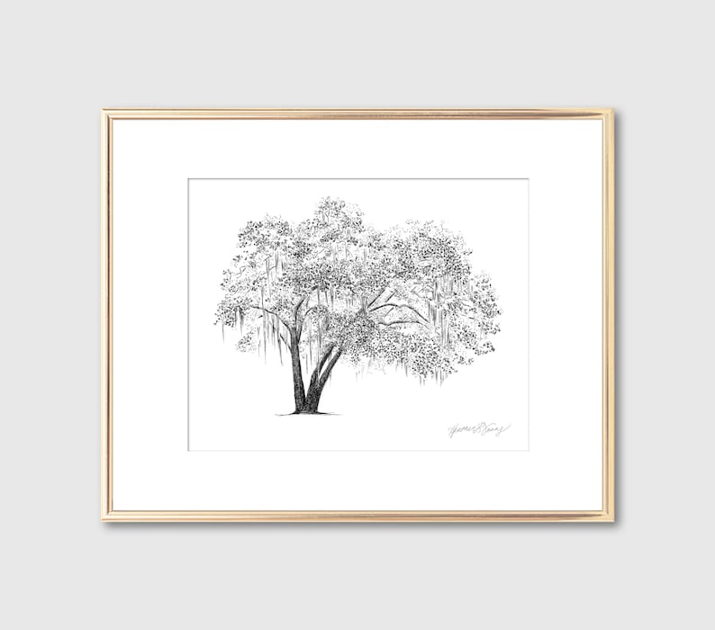 May include: A black and white line drawing of a large tree with hanging branches, framed in a gold frame.