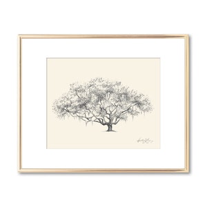 Ribualt Club Oak Tree Print - Nature Lover Gift - Botanical Wall Art - Wedding Shower Couple Gift - Signed and Matted - Rustic Home Decor