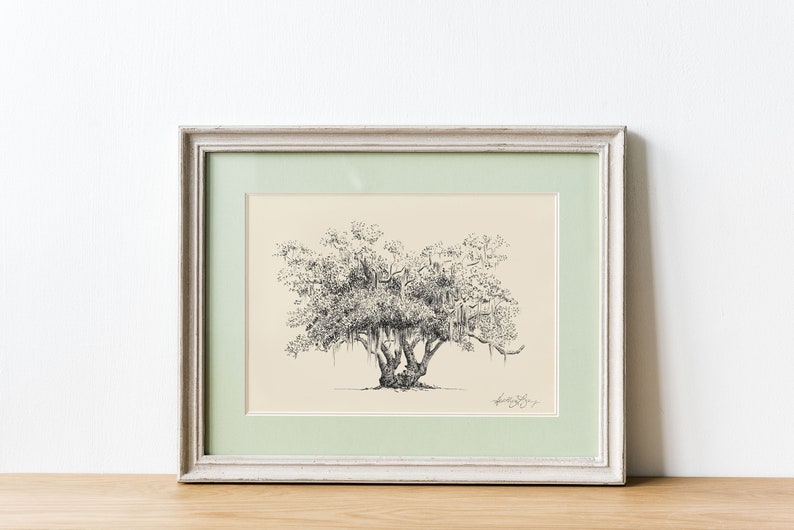 pen and ink drawing of lovers oak in Brunswick, Georgia by southern artist Heather L. Young