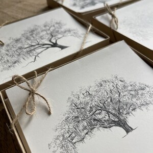 Oak Notes Boxed Stationery Set Savannah and Low Country Live Oak Tree Cards image 2