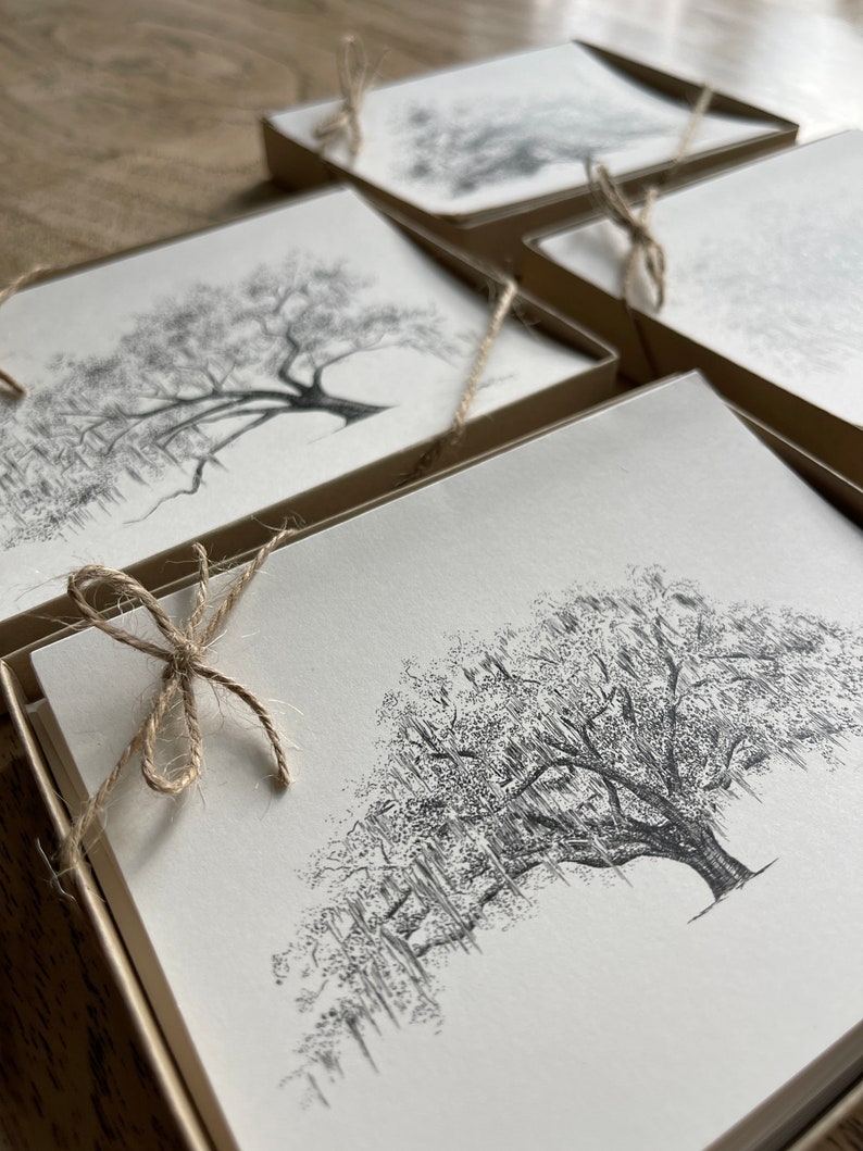 Oak Notes Boxed Stationery Set Savannah and Low Country Live Oak Tree Cards image 2
