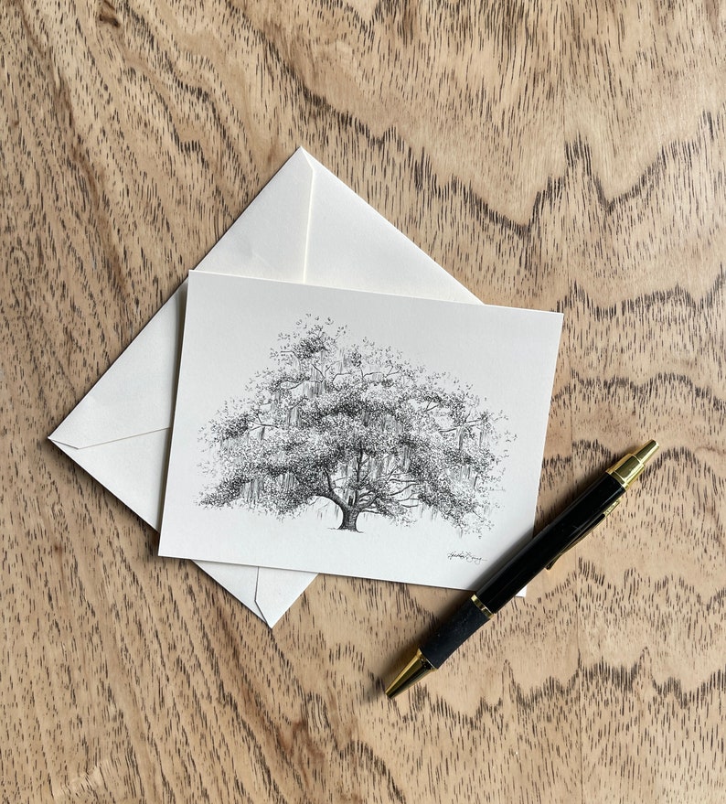 boxed stationery featuring live oak tree ink drawings by Heather L. Young