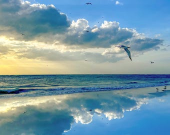 May include: A blue sky with white clouds reflected in the water of a beach.  Seagulls fly in the sky and are reflected in the water.