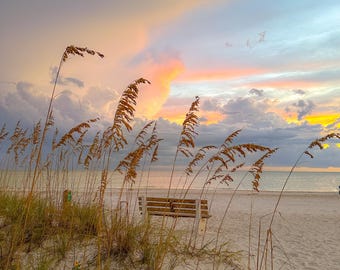 May include: A serene beach scene at sunset. Tall, golden sea oats sway in the foreground, with a wooden bench on the sandy shore. The sky is a blend of pink, orange, and blue hues, reflecting on the calm water.
