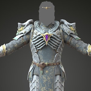 May include: A full suit of fantasy armor in shades of gray, silver, and gold. The chest piece features a rib cage design with a purple gem. The armor includes shoulder pads, gauntlets, and greaves with skull accents. A brown belt cinches the waist.