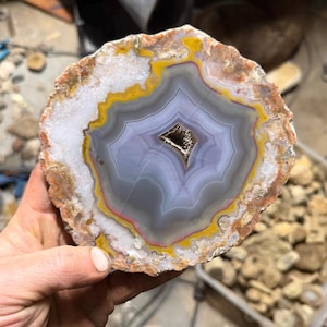 Large Kentucky agate slab specimen | Old stock mirror polished