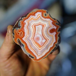 以下が含まれることがあります： 鮮やかなオレンジ、深い赤、クリーム色の同心円状の帯が特徴の磨かれた瑪瑙のスライス。この石は、滑らかで半透明の表面を持ち、層状の鉱物堆積物による複雑で不規則な模様を示しています。