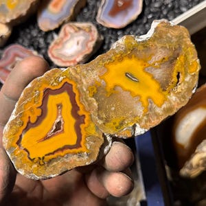 May include: A polished agate slice featuring vibrant concentric bands of bright yellow, deep maroon, and translucent white. The stone displays a natural crystalline center and a rough, textured outer edge with earthy brown tones.