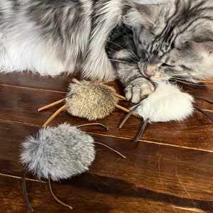 Puede incluir: Tres juguetes para gatos de color gris y blanco con correas de cuero marrón. Los juguetes están sobre una superficie de madera. Un gato gris y blanco está tumbado sobre los juguetes.