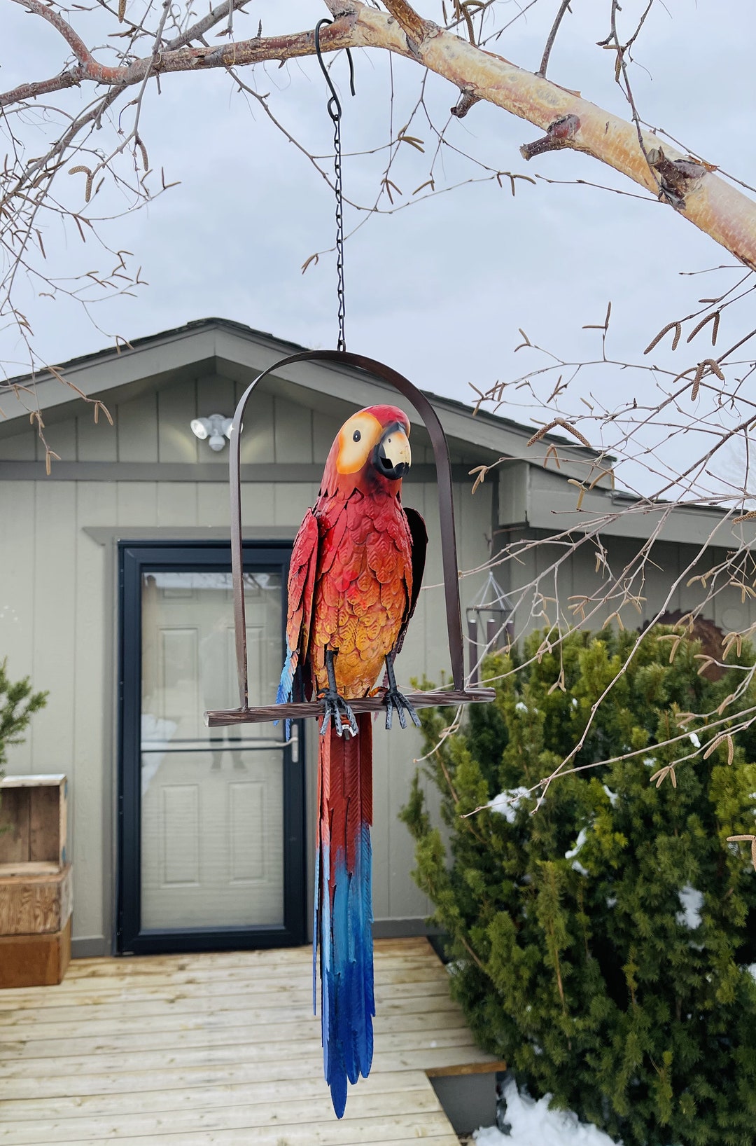 Saving the Puerto Rican Parrot – Garden & Gun