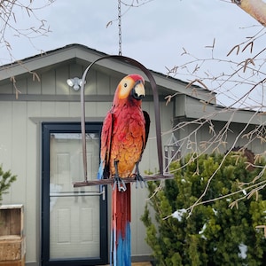 Hanging Whimsical Rustic Metal Swinging Macaw Parrot Tropical Bird On Chain Yard Garden Art
