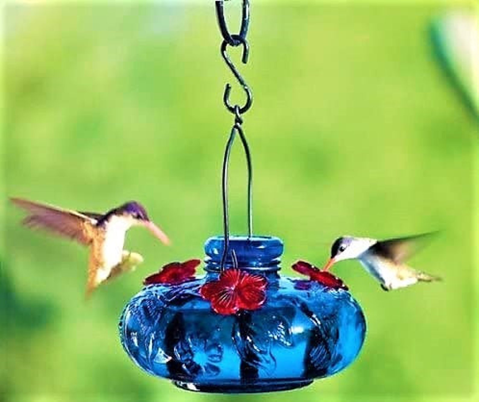 Parasol Hummingbird Feeder Triple Calliope Hand Blown Recycled Etsy
