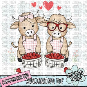 Highland Cow Tshirt Design PNG Hand-Drawn Strawberries Summer Sublimation PNG – Fruit, DTF Design, Clipart for T-Shirts and Crafts