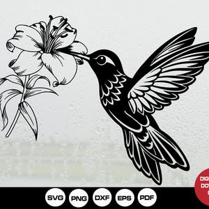 File Svg fiori colibrì / Svg floreali / Clipart colibrì / Svg colibrì / File Svg Png Eps per Cricut Silhouette stampabile