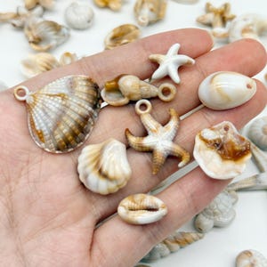 May include: A collection of assorted sea-themed charms and beads including a large fan-shaped shell, a white starfish, a brown textured starfish, various spiral shells, and cowrie shells, all featuring natural brown and white color patterns.