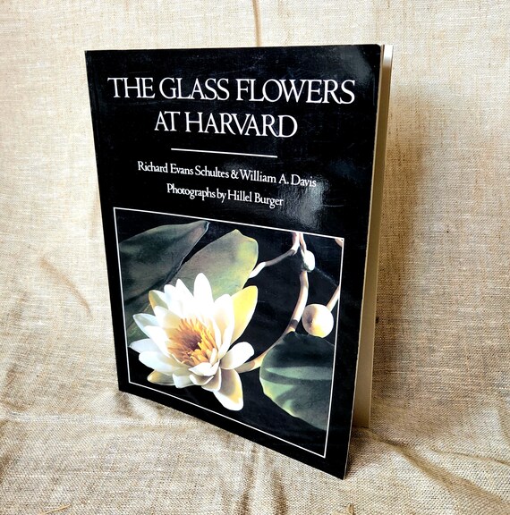 The Glass Flowers at Harvard Museum Natural History Etsy